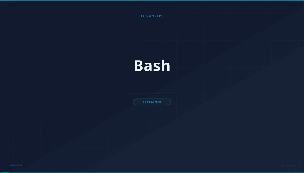Terminal window displaying Bash shell commands and scripting interface